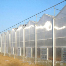 China polycarbonate sheet cover hydroponic multi-span agricultural greenhouse systems